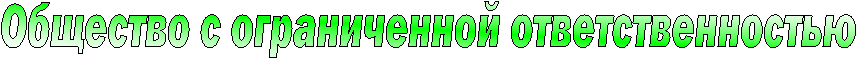Общество с ограниченной ответственностью